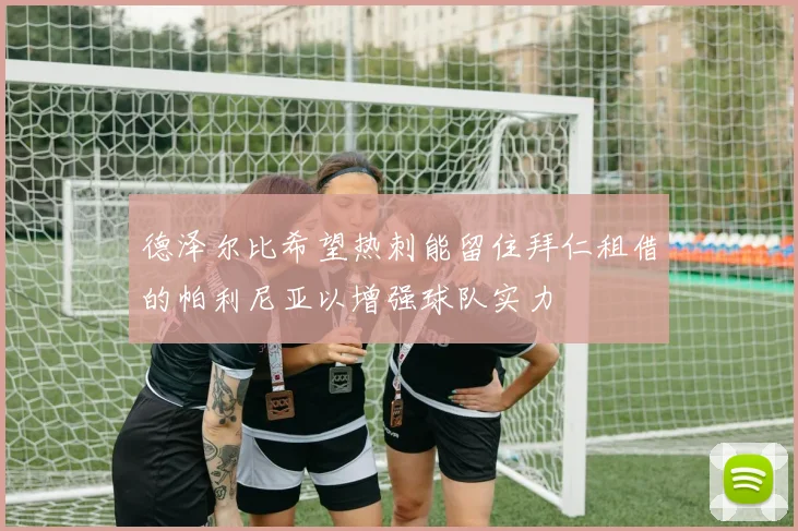 德泽尔比希望热刺能留住拜仁租借的帕利尼亚以增强球队实力