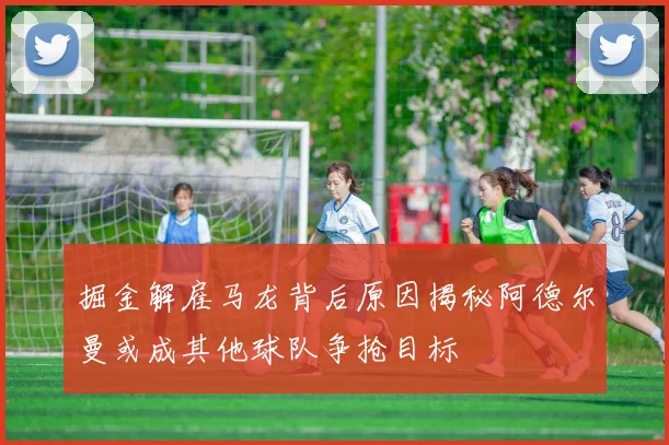 掘金解雇马龙背后原因揭秘阿德尔曼或成其他球队争抢目标